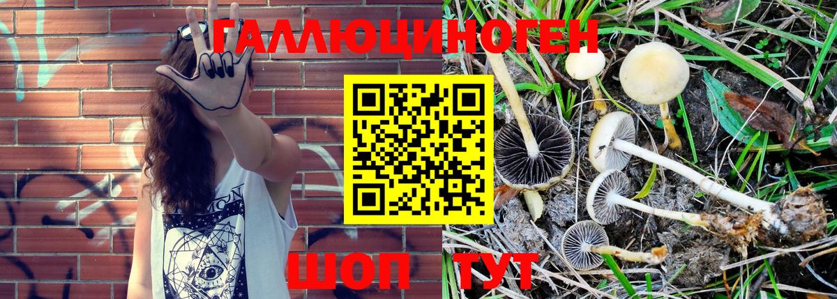 Псилоцибиновые грибы Magic Shrooms  Вход с VPN  Псилоцибиновые грибы Magic Shrooms  Дивногорск 
