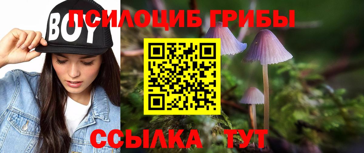 Галлюциногенные грибы прущие грибы Дивногорск